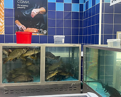 Профориентация в действии: будущие повара изучили работу «Ленты»