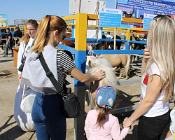 Чем богата земля Астраханская