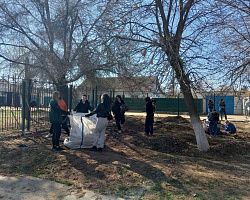 В Лиманском филиале колледжа начались весенние субботники